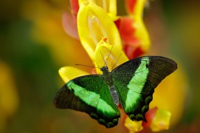 mk sport-东亚杯中国女足晋级 技术表现备受肯定，中国女足晋级东奥会