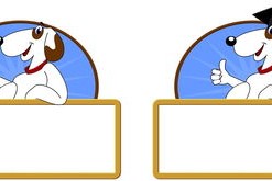 mk体育官网-校园体育节活动对学生参与度的促进作用，学校体育节活动描述