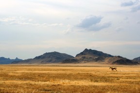mk体育登录-体育新闻中心公告国家运动员行为规范评估标准，国家运动员标准2021