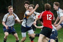 mk体育下载-新加坡队在国际乒联混合团体世界杯中的稳健表现，新加坡乒乓球世界排名