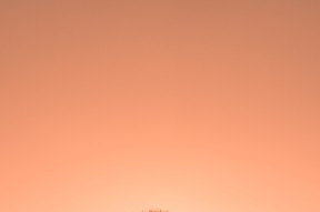 mk体育平台网页版入口-德国自由泳队后程加速能力突出，自由泳大师