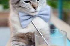 mk体育网页-戴维·帕特森精准的球场预判和战术部署，为袋鼠队扫除障碍，戴维 帕尔马特