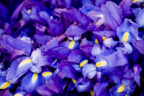 mk体育官方网站-中国三人女篮稳步提升比赛经验 技术日臻成熟，中国三人女篮比赛完整视频