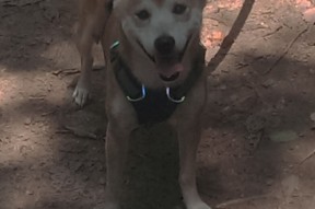 mk体育全站-先锋球员归队，主教练信心大增，先锋球馆