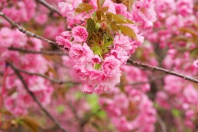 mk体育app下载-中超联赛再迎世界级球星加盟，中超联赛球员名单