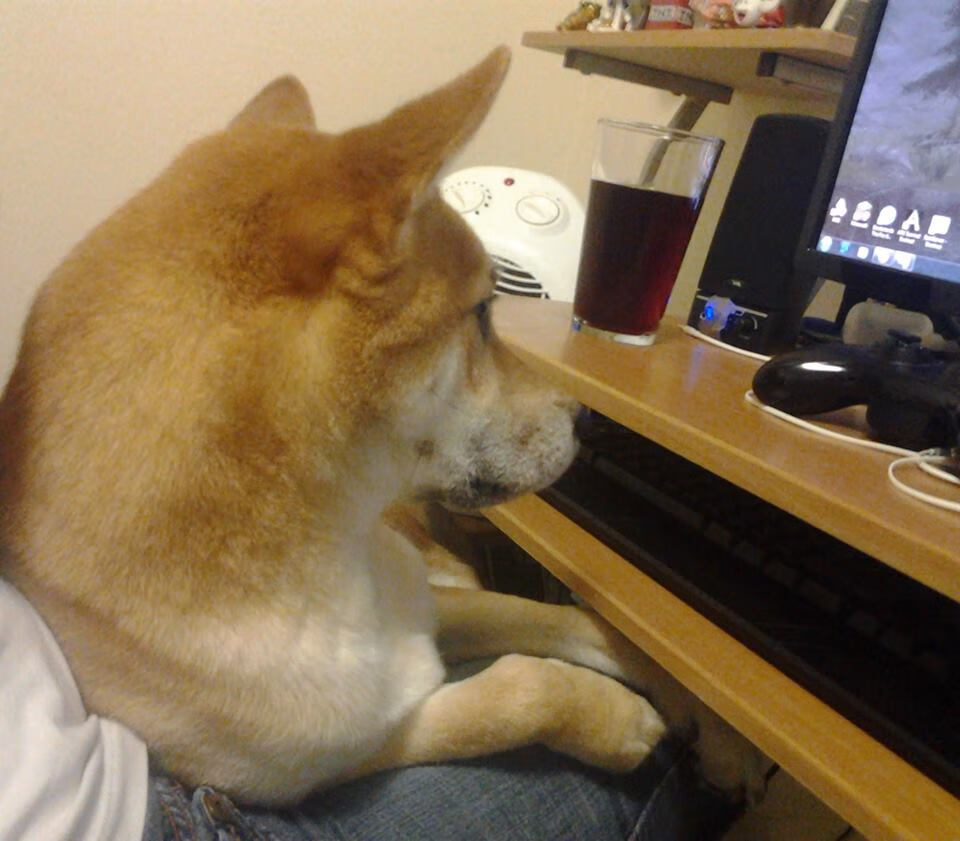 亚洲杯国足迎战 球迷高呼全力以赴,亚洲杯国足比赛