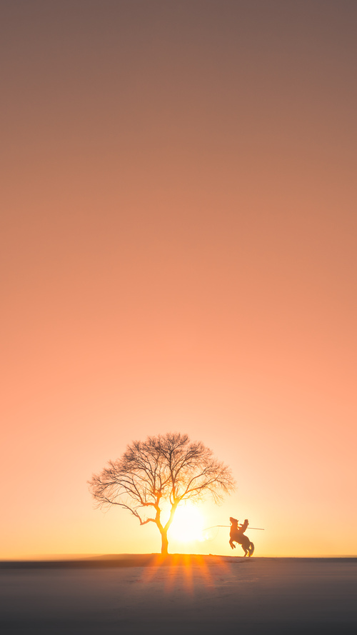 德国自由泳队后程加速能力突出，自由泳大师