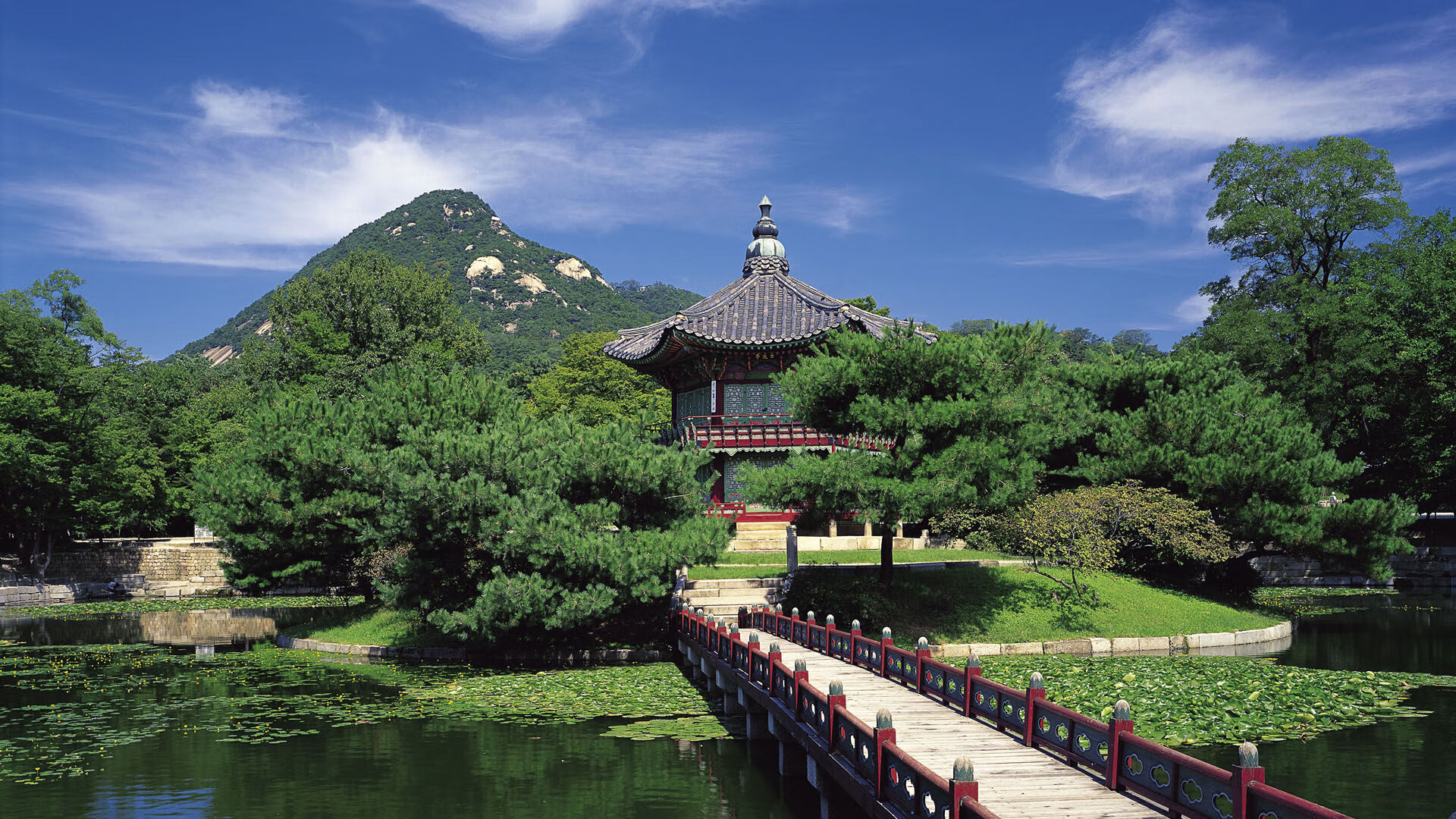 奥地利水球反击迅速打乱对手节奏，奥地利输球