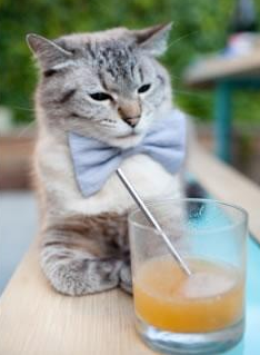 戴维·帕特森精准的球场预判和战术部署,为袋鼠队扫除障碍,戴维 帕尔马特